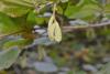336646 – Photo : Numayta – France (68)